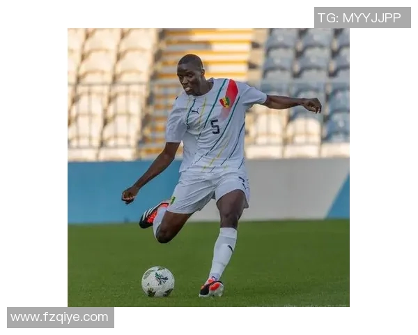 科特迪瓦足球球星的崛起与成就探索：从青年才俊到世界舞台的传奇之路